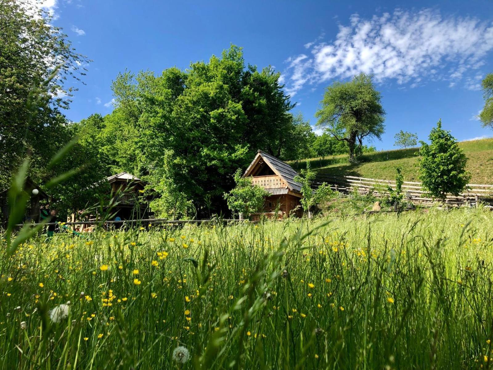 Glamping Savinja Hotel Ljubno Ngoại thất bức ảnh