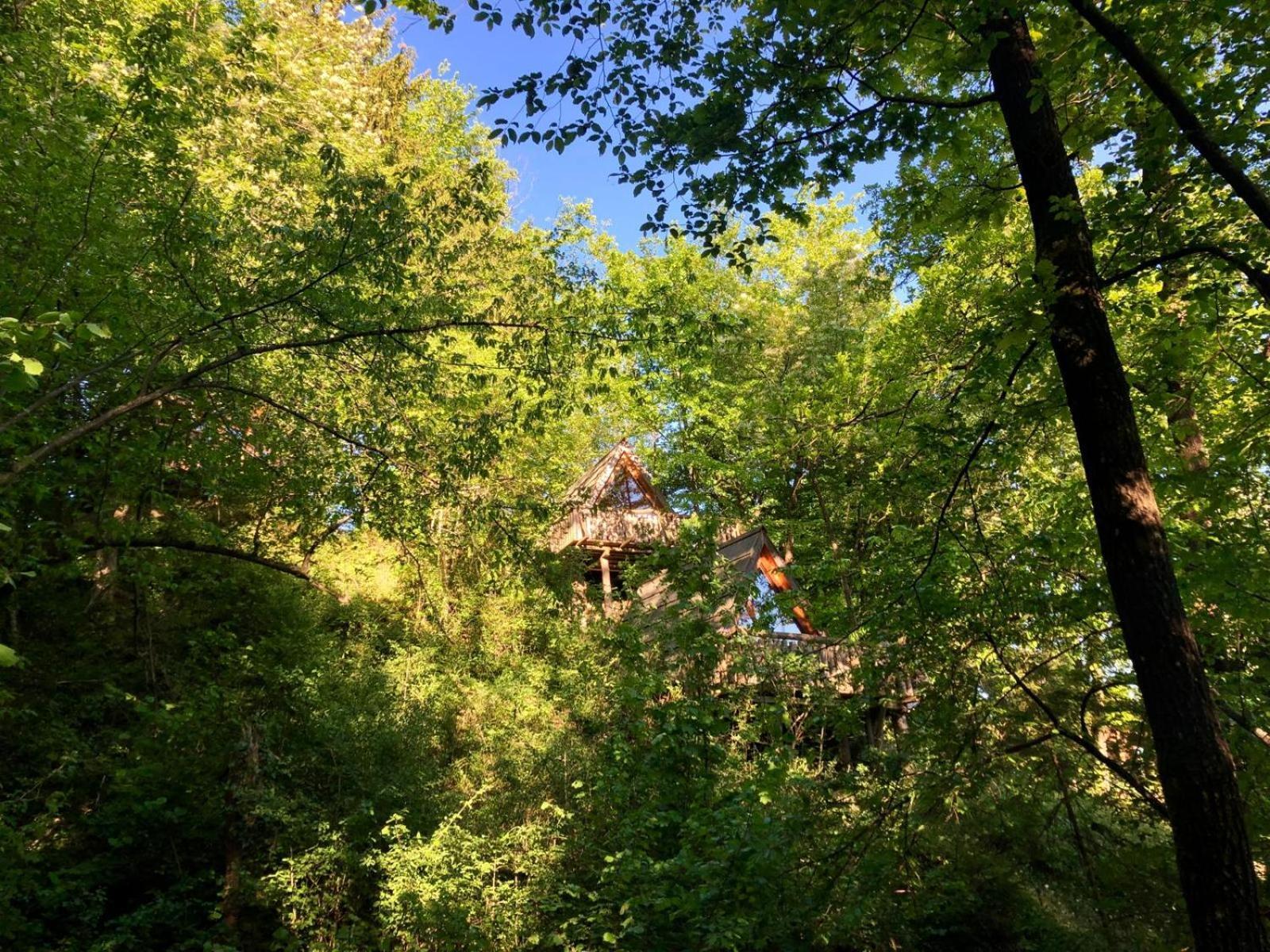 Glamping Savinja Hotel Ljubno Ngoại thất bức ảnh